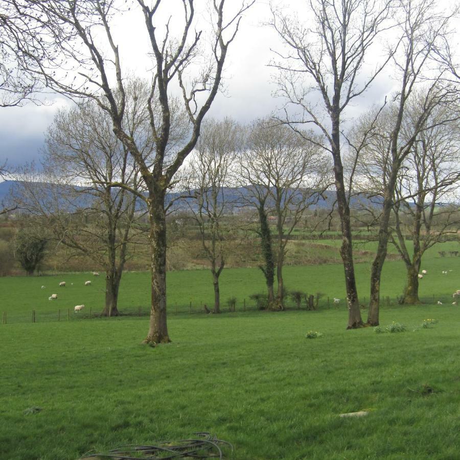 Knockninny Barn At Upper Lough Erne, County Fermanagh Ενισκίλεν Εξωτερικό φωτογραφία